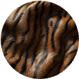 Animalic Notes