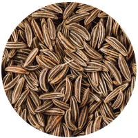 Cumin
