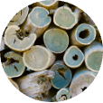 Guaiac Wood